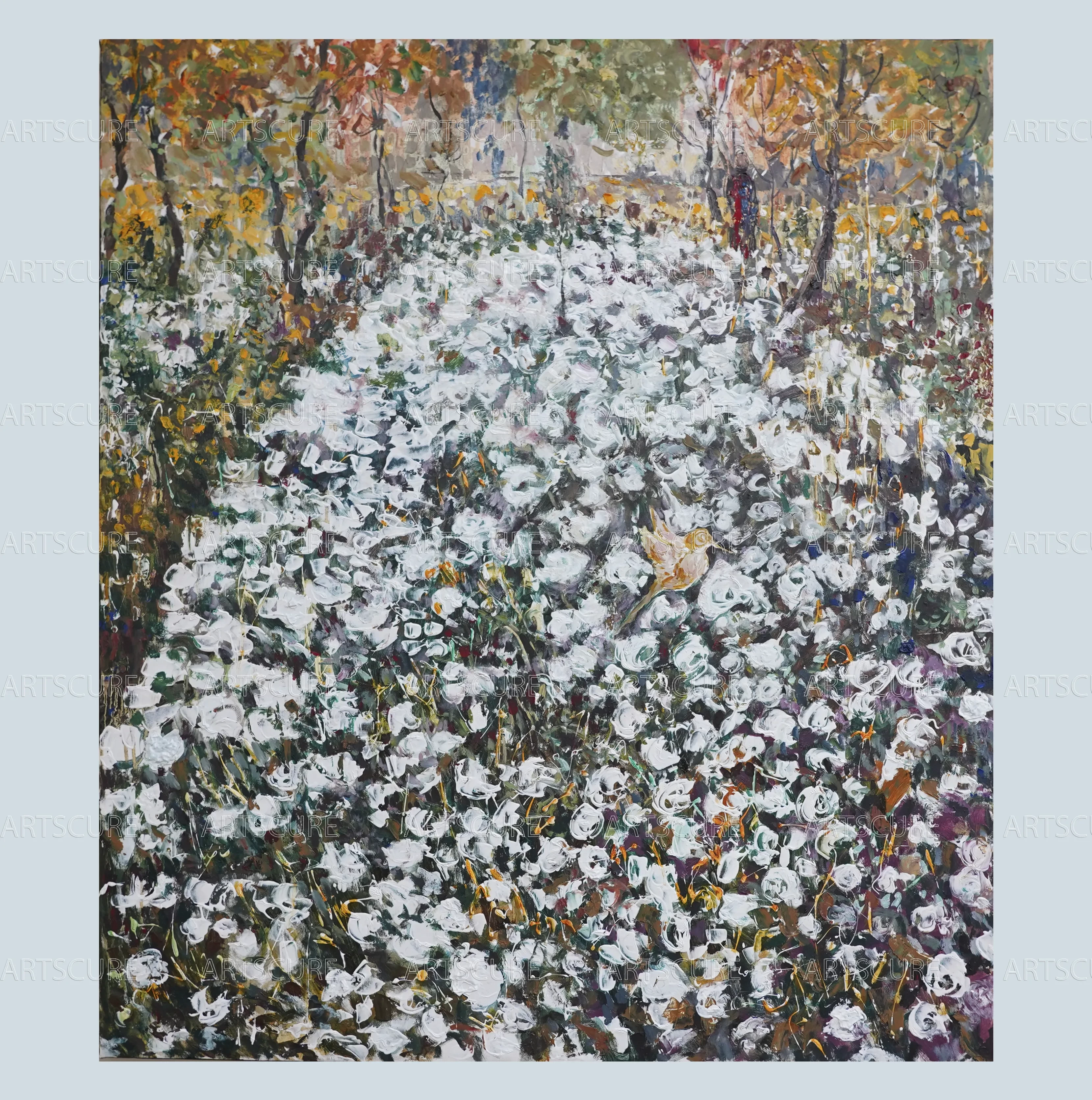 Chrysanthemum